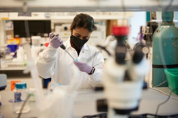 Laboratory scientist preparing samples